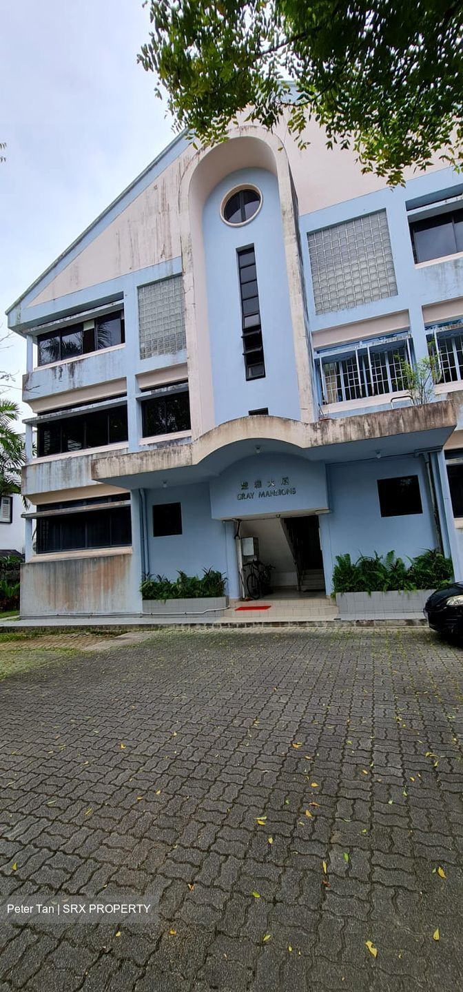 Gray Mansions (D15), Apartment #418391791